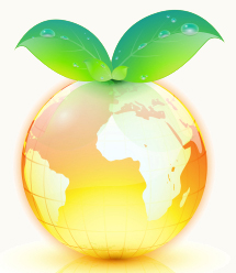 Orange Oil